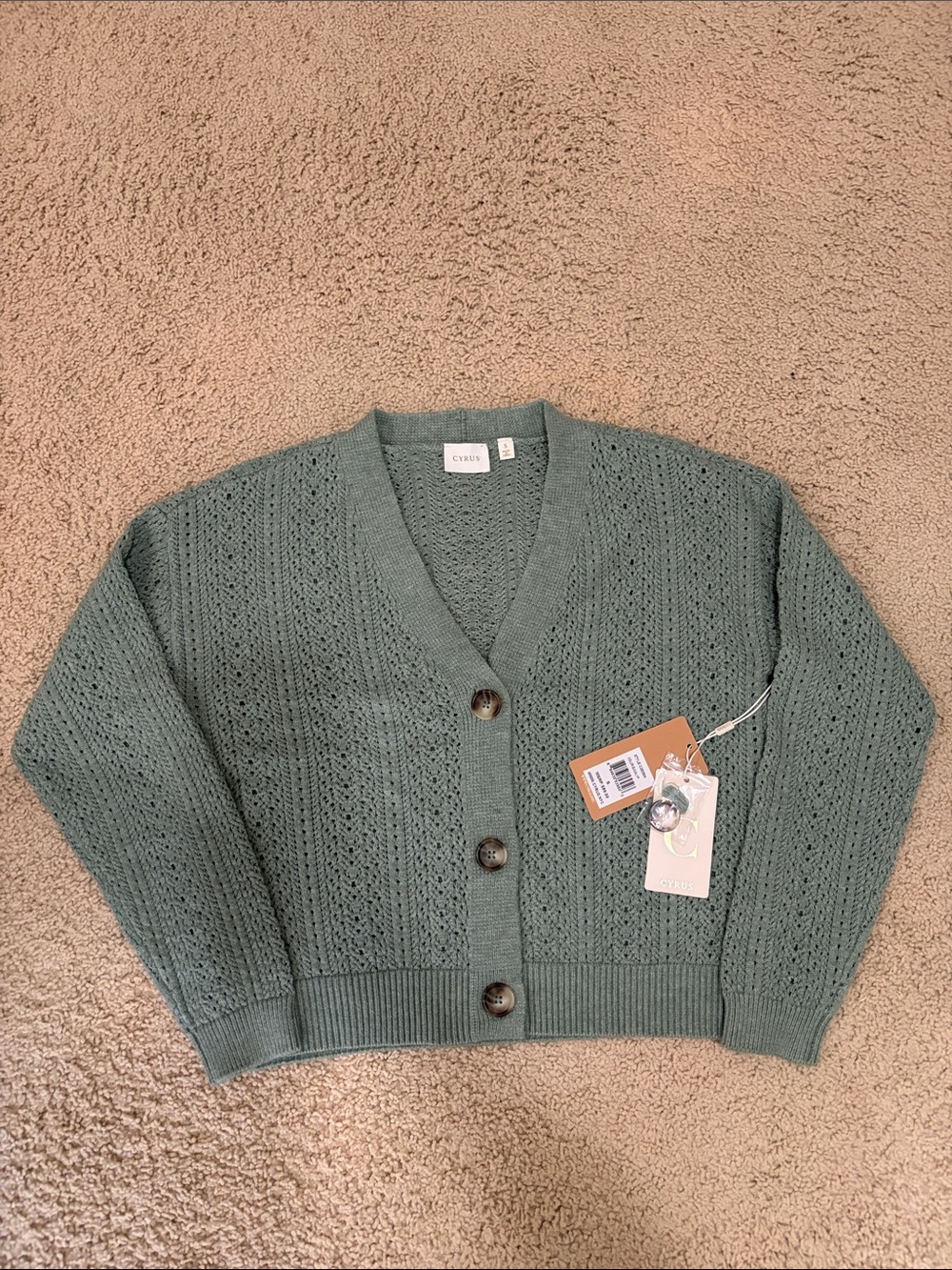 NWT CYRUS CARDIGAN size s brand new with tags- sage green